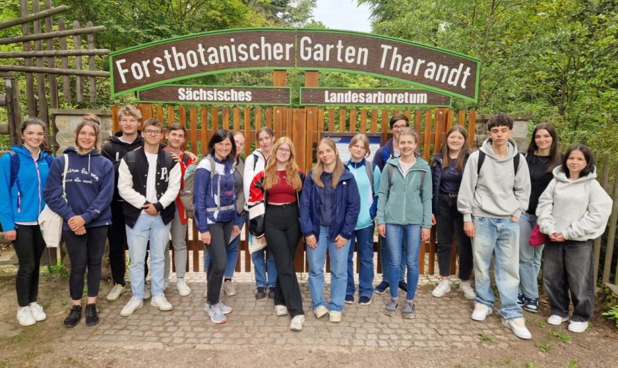 Biologieunterricht im Forstbotanischen Garten Tharandt/ Sächsisches Landesarboretum