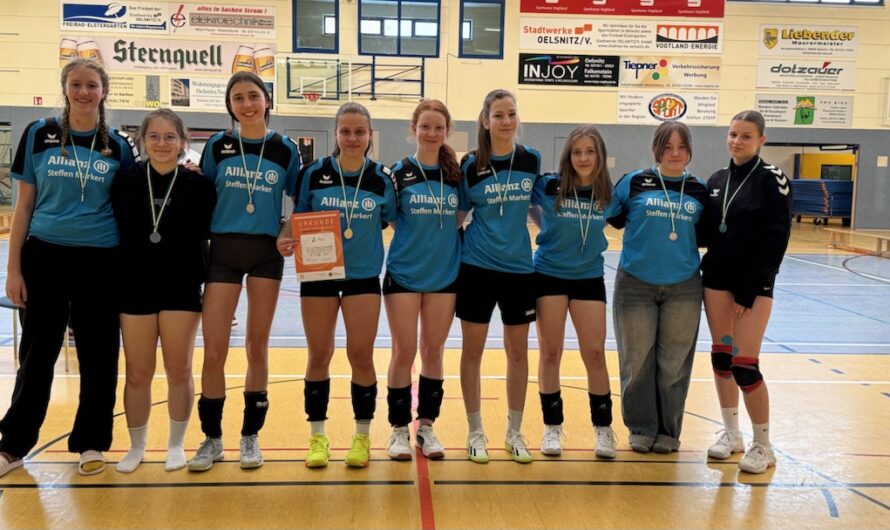 Platz 2 im Regionalfinale Volleyball